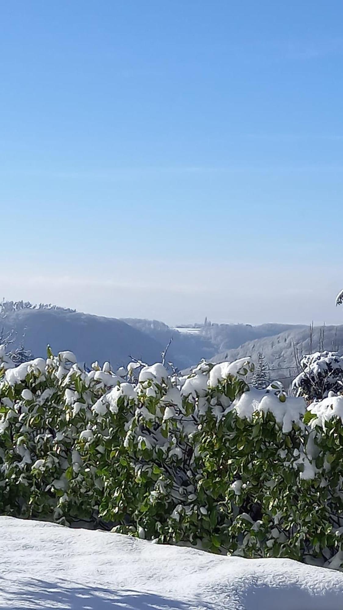 Haus Am Wald Lejlighed Hillscheid Eksteriør billede