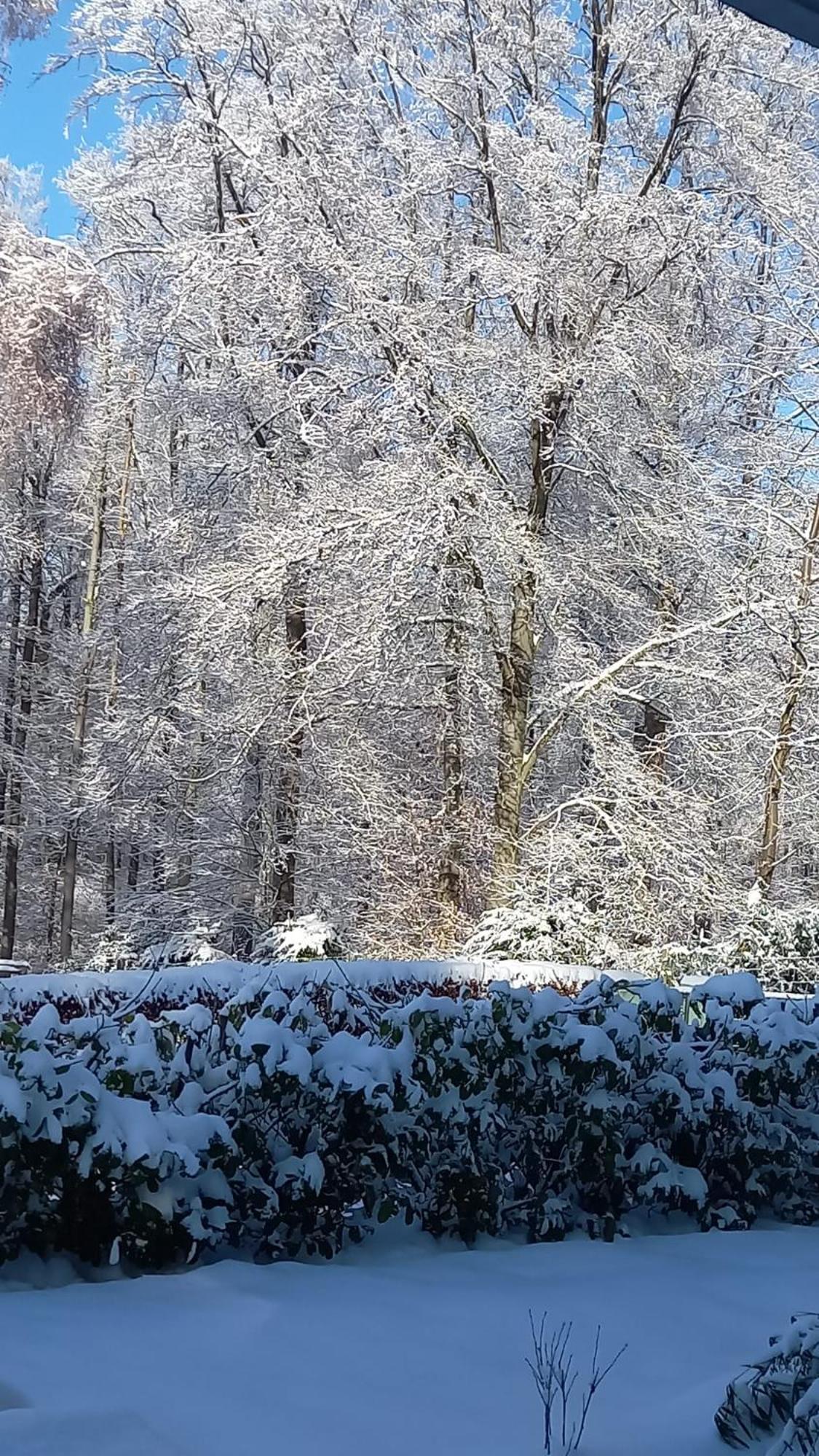 Haus Am Wald Lejlighed Hillscheid Eksteriør billede