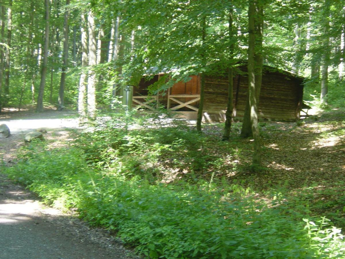 Haus Am Wald Lejlighed Hillscheid Eksteriør billede